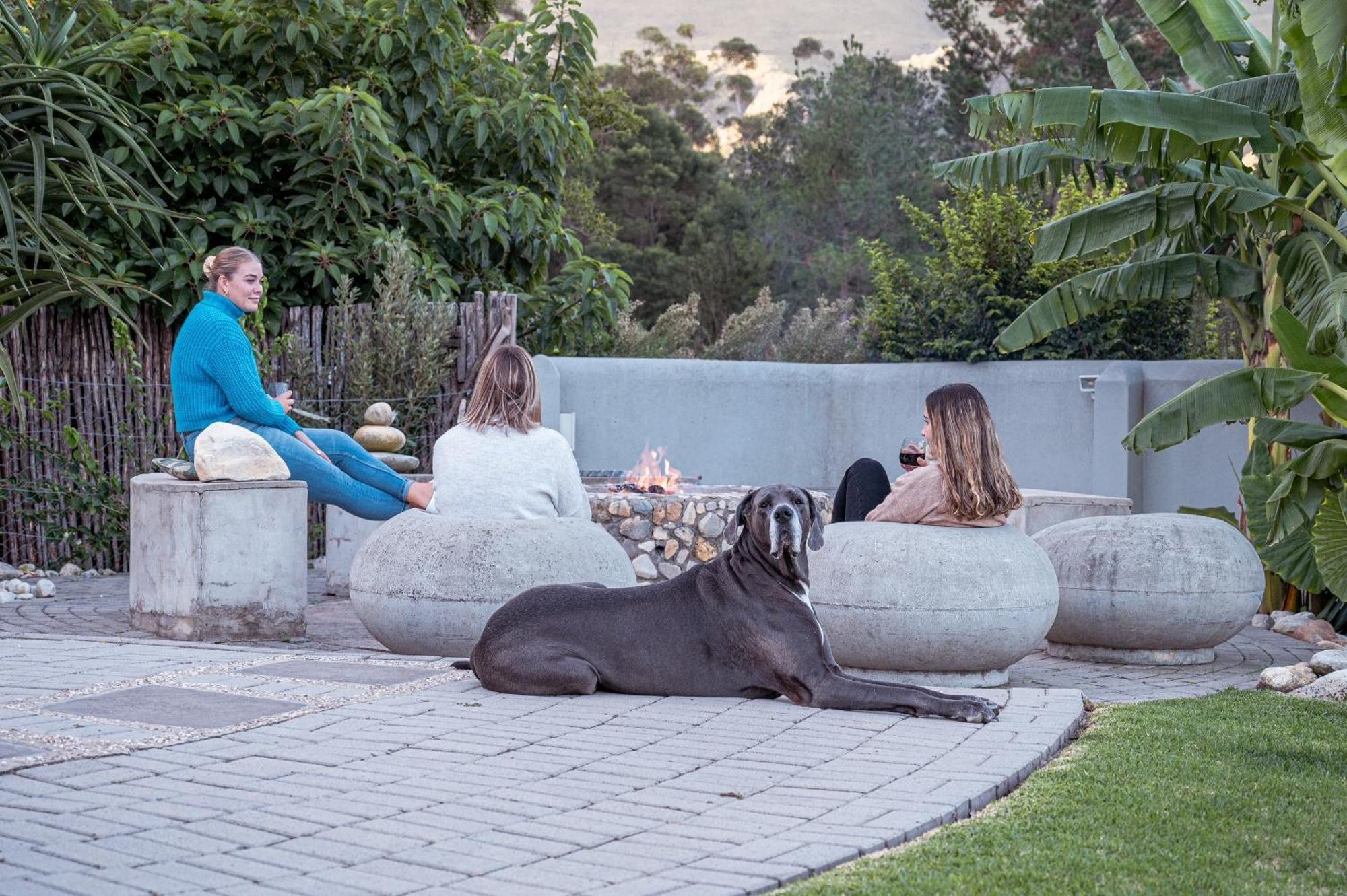 A Riverbed Guesthouse สเวลเลนดาม ภายนอก รูปภาพ